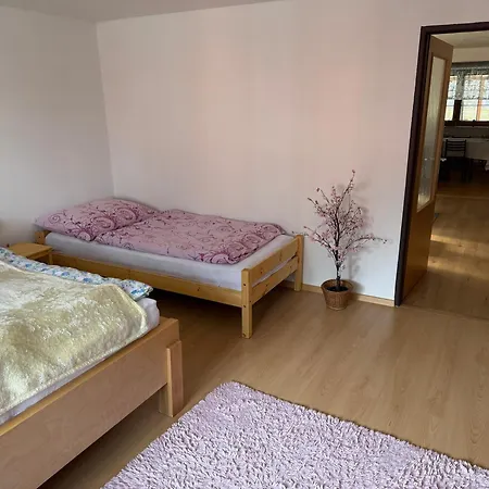 Apartment Spirit Andelka Andelska Hora (Bruntal)